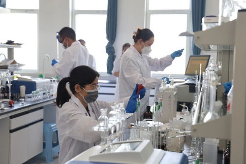 省生態(tài)環(huán)境監(jiān)測專業(yè)技術(shù)人員大比武成功舉行，央廣網(wǎng)提供網(wǎng)絡(luò)技術(shù)支持服務(wù)